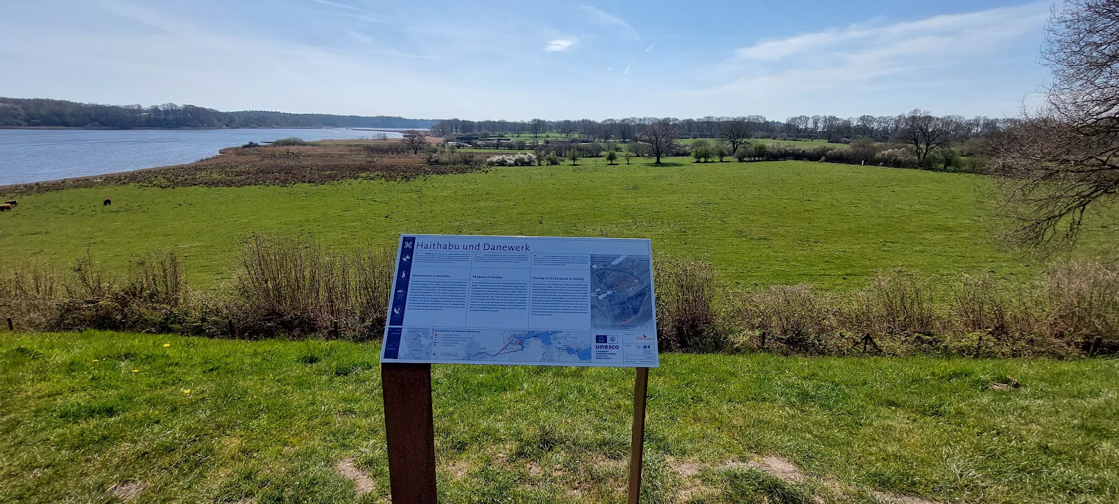 Modern view of Hedeby archaeological site with interpretive sign and landscape