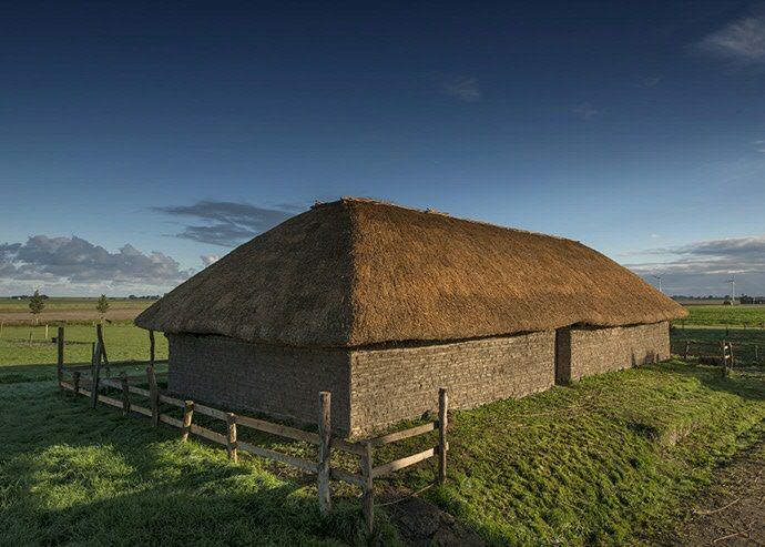 Traditional Frisian longhouse with thatched roof